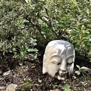 Meet your Posher, Bob